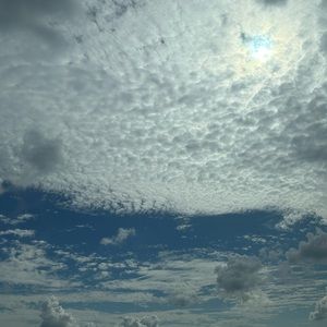 Meet your Posher, Layla